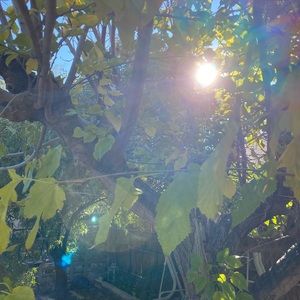 Meet your Posher, Adrian